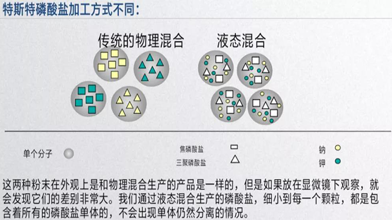 特斯特