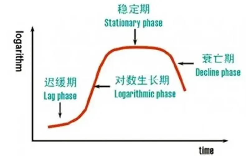 防腐剂